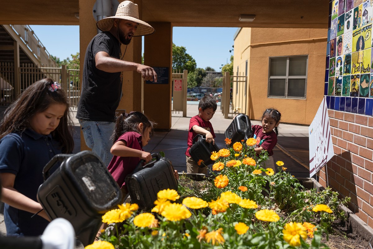 Scorching schoolyards: California groups want more trees, less asphalt at schools